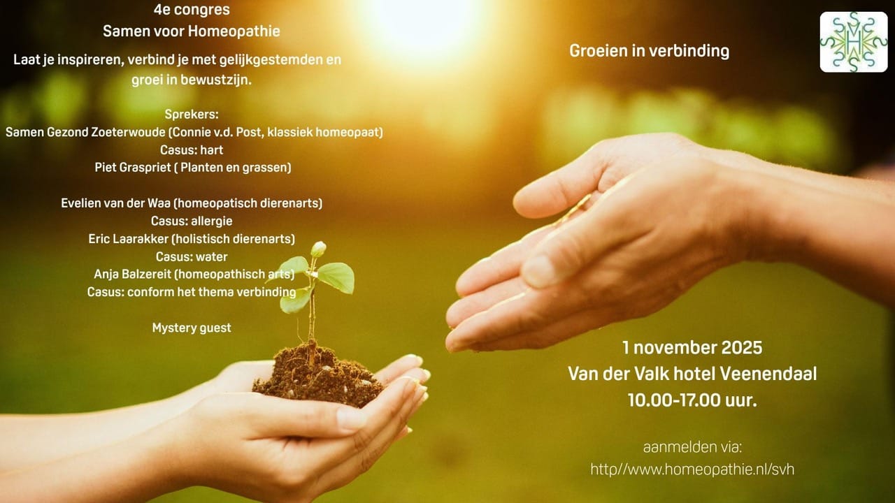 Flyer SvH 2025 (1600 x 900 px) (4)